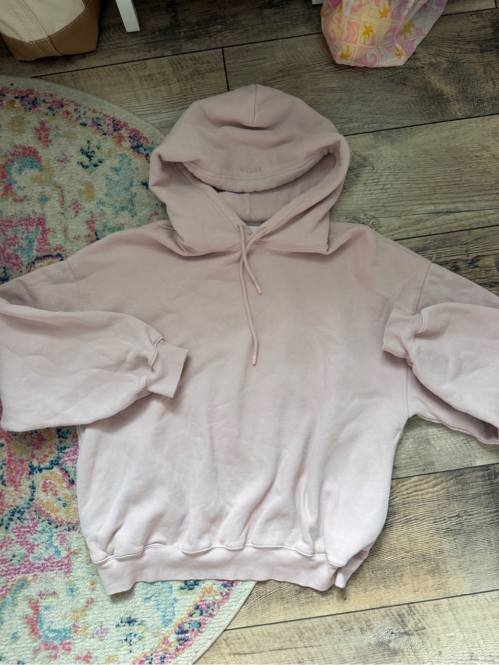 Aritzia Hooded Sweatshirt